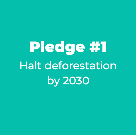 Pledge #1 Halt deforestation by 2030