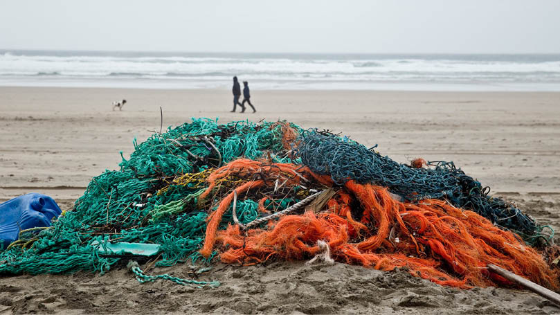 Perranporth beach clean  World Animal Protection  Photo by Greg Martin