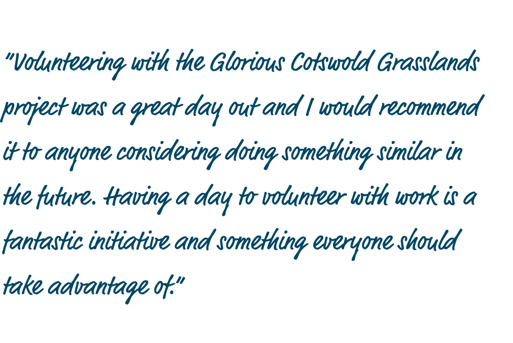  Volunteering with the Glorious Cotswold Grasslands project was a great day out and I would recommend it to anyone co   