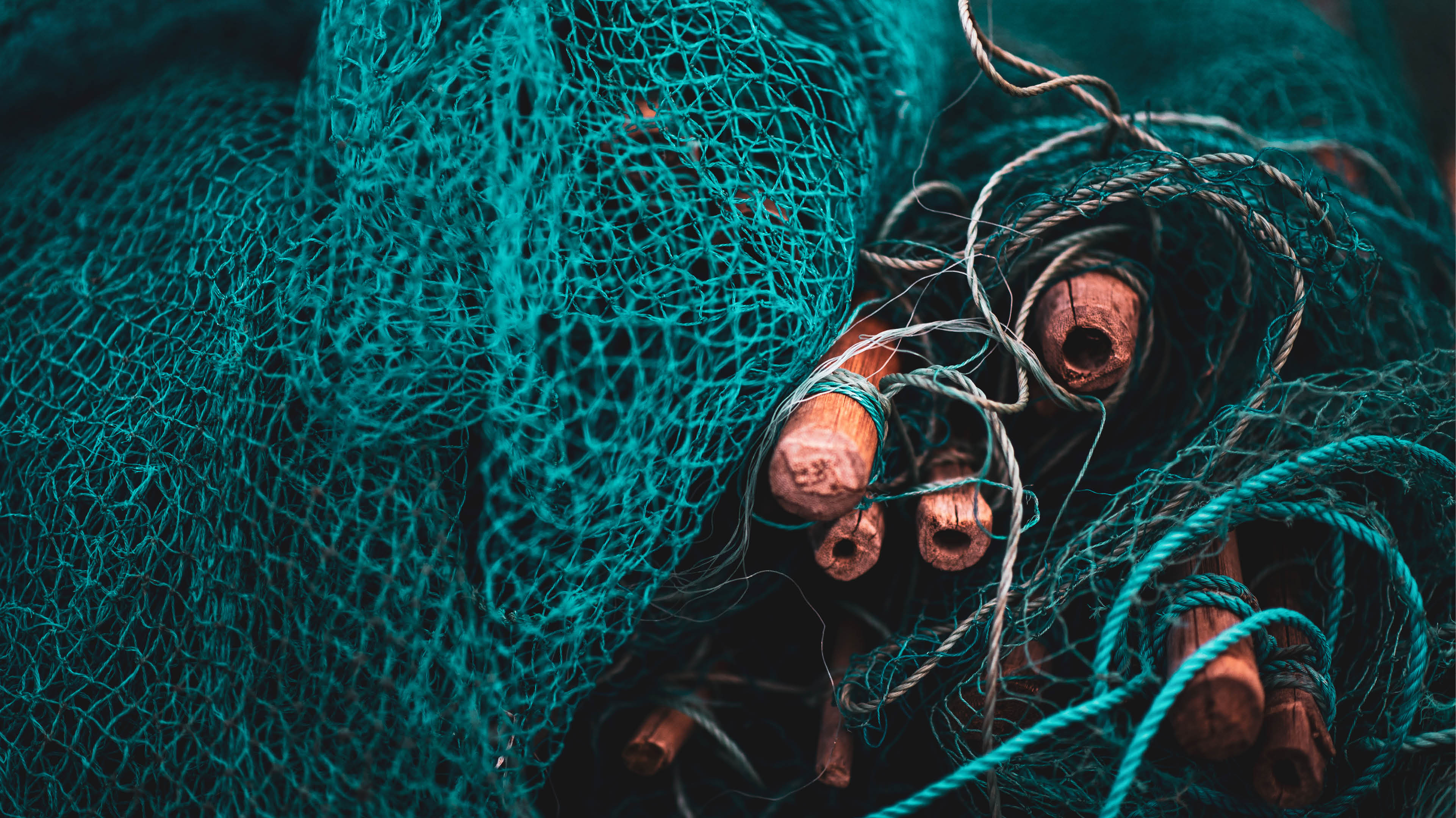 A fishing net is a net used for fishing  Nets are devices made from fibers woven in a grid-like structure  Some fishing nets are also called fish traps, for example fyke nets 