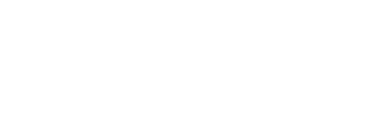 Successful partnerships