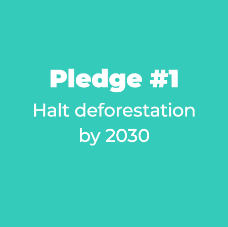 Pledge #1 Halt deforestation by 2030